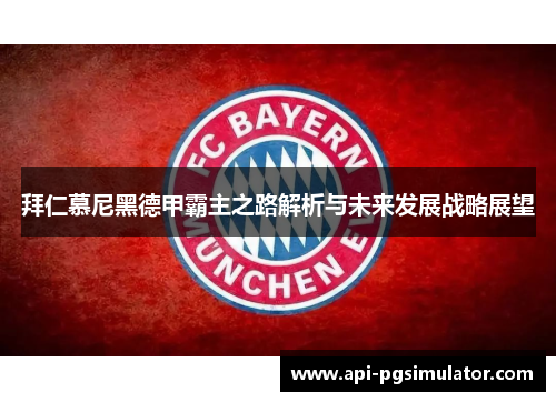 拜仁慕尼黑德甲霸主之路解析与未来发展战略展望