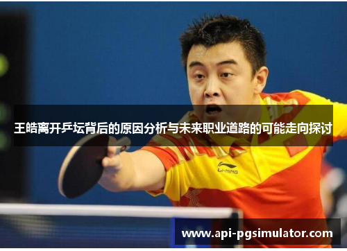 王皓离开乒坛背后的原因分析与未来职业道路的可能走向探讨